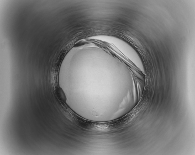 X0000095670409200802051234