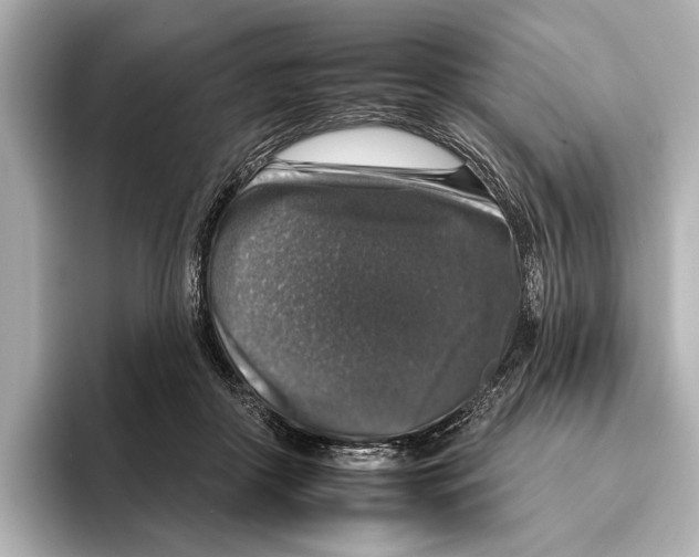 X0000095670410200802051234