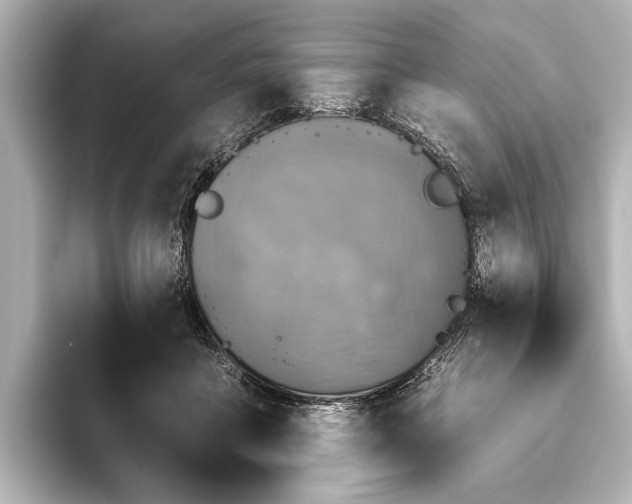 X0000095670411200802051234