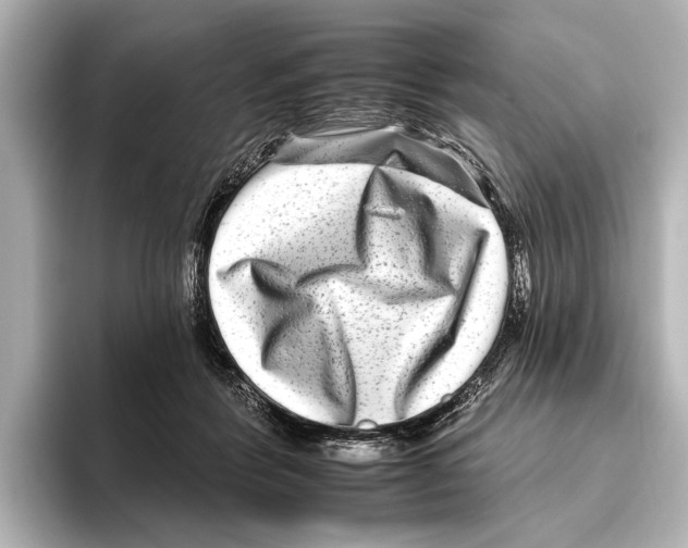 X0000095670412200802051234