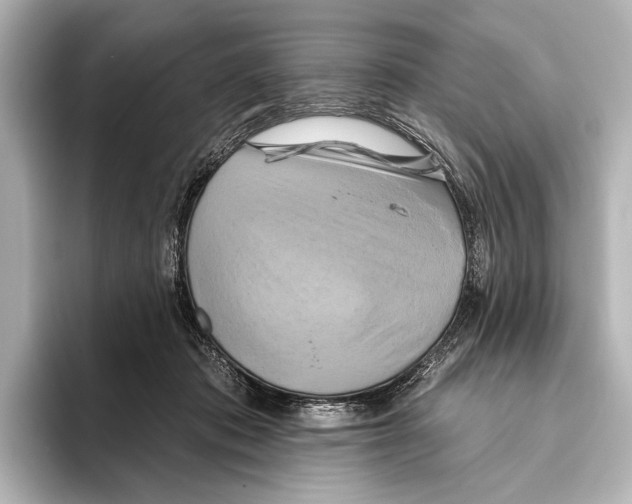 X0000095670413200802051234