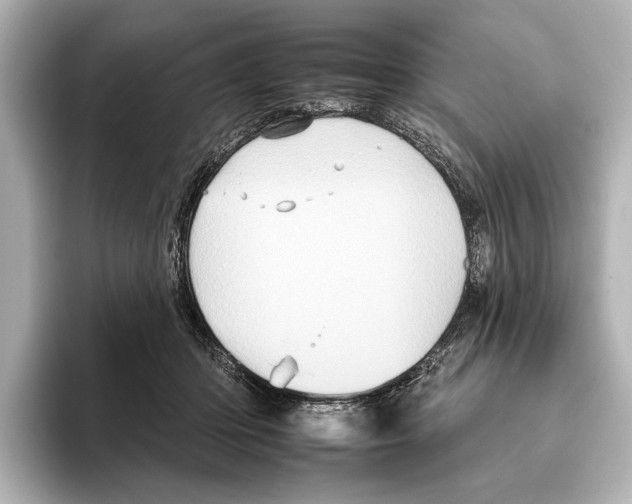 X0000095670414200802051234