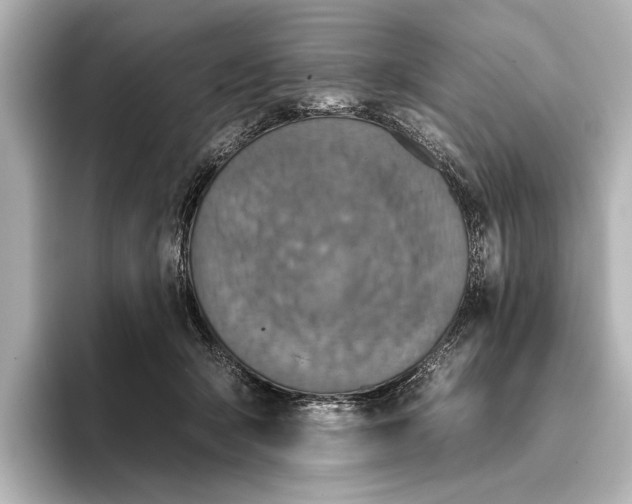 X0000095670415200802051234