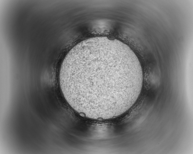 X0000095670416200802051234