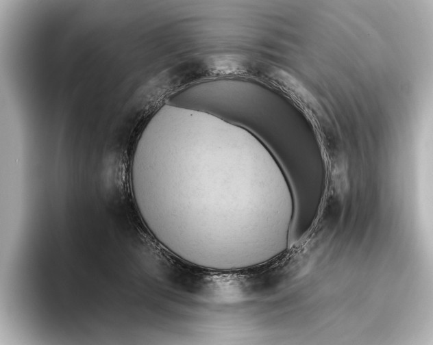 X0000095670417200802051234