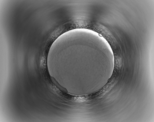 X0000095670419200802051234