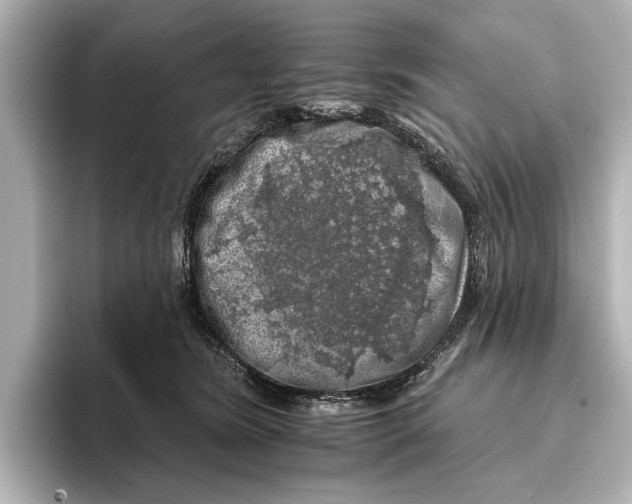 X0000095670420200802051234