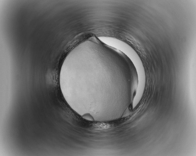 X0000095670421200802051234