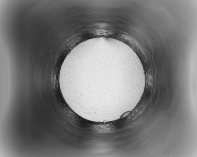 X0000095670422200802051234