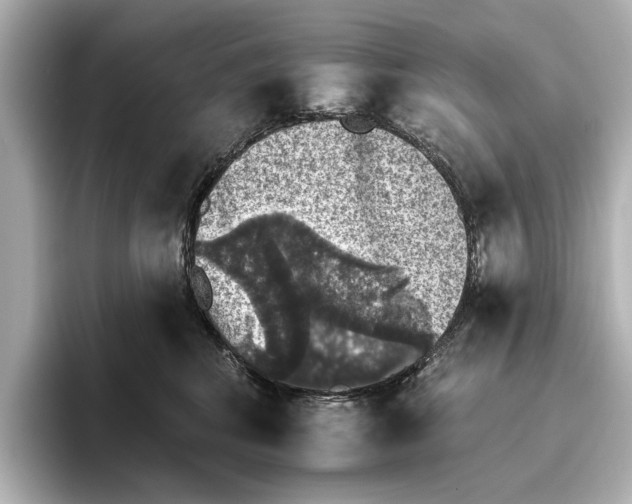 X0000095670424200802051234