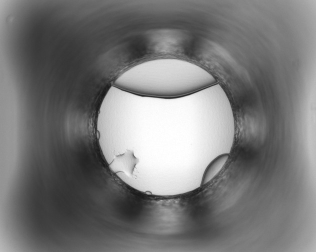 X0000095670426200802051234