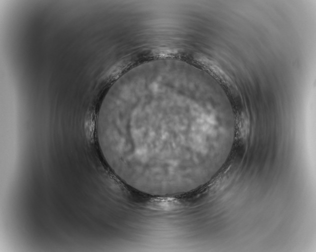 X0000095670427200802051234