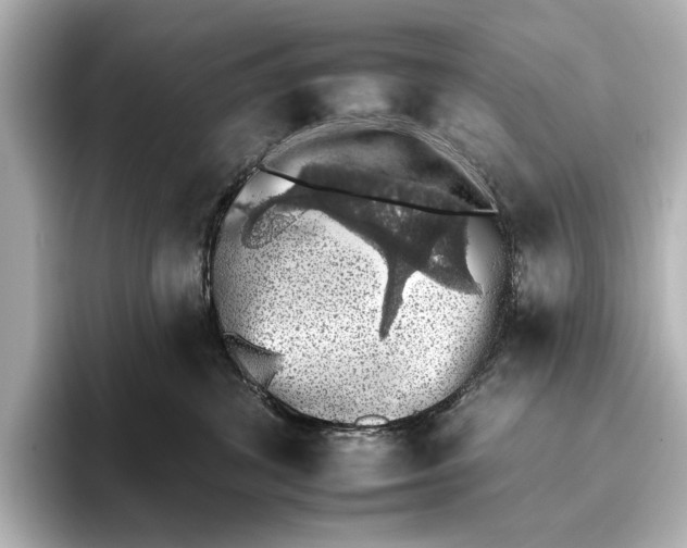 X0000095670428200802051234