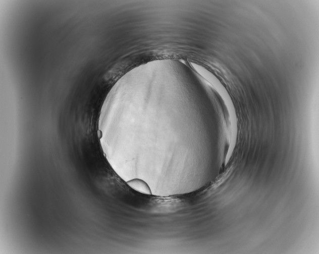 X0000095670429200802051234