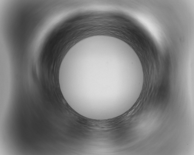 X0000095670431200802051234