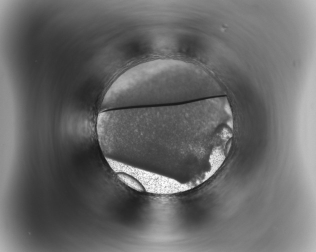 X0000095670432200802051234