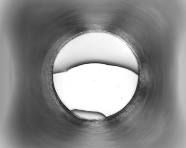 X0000095670433200802051233