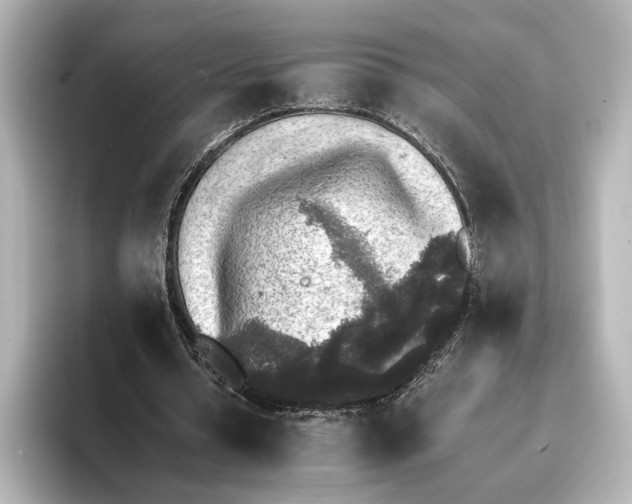 X0000095670434200802051233