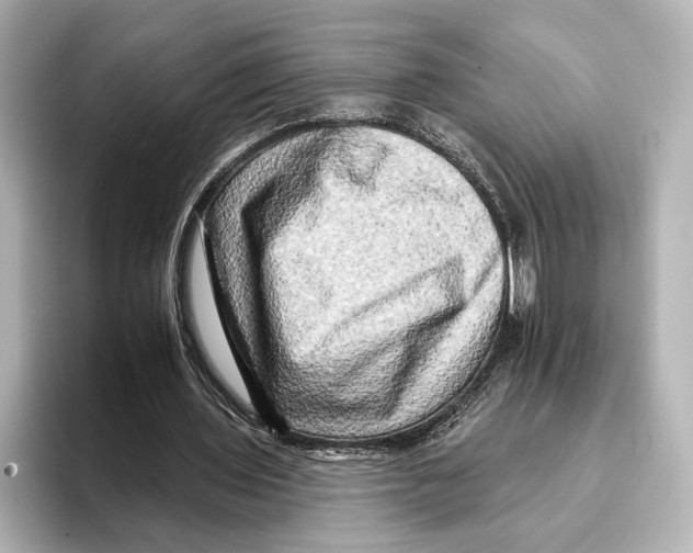 X0000095670435200802051233