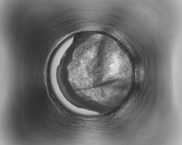 X0000095670436200802051234