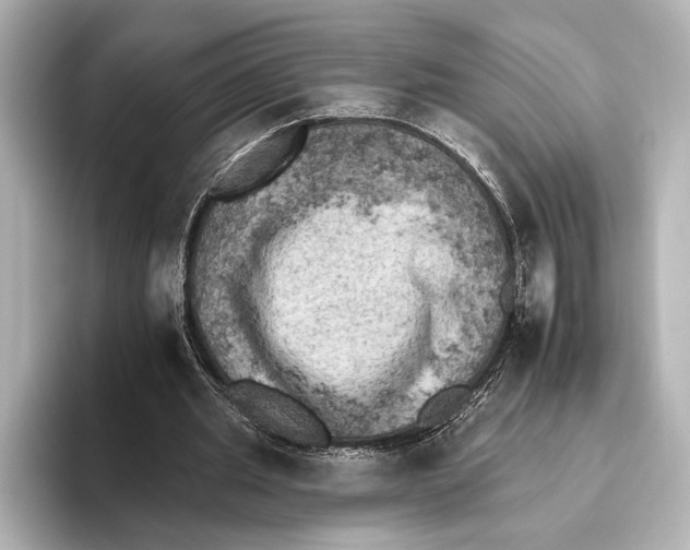 X0000095670437200802051234