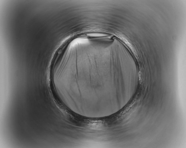 X0000095670438200802051234