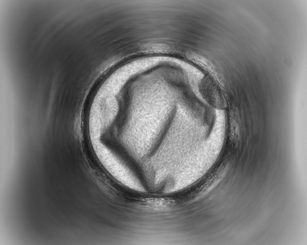 X0000095670439200802051234