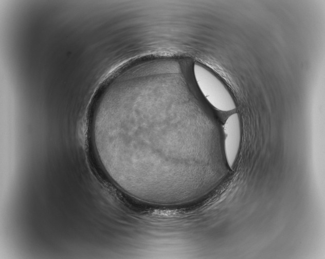 X0000095670440200802051234