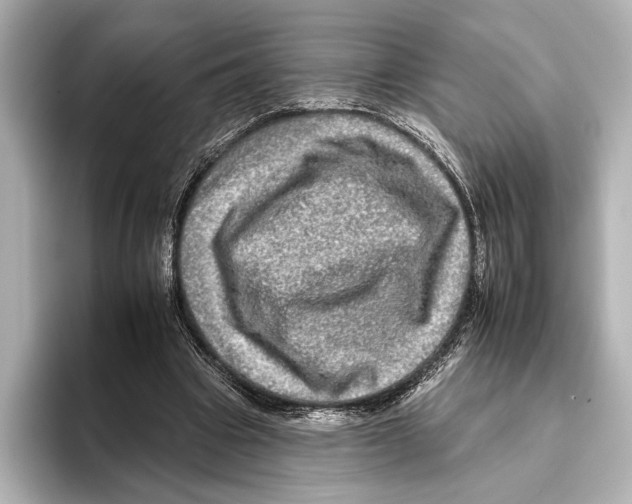 X0000095670441200802051234