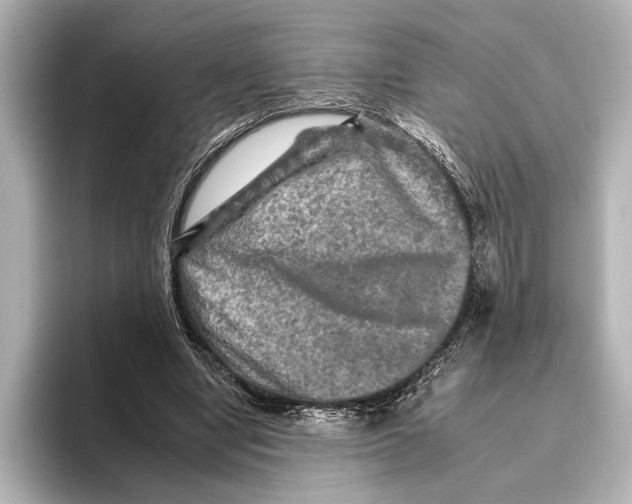 X0000095670442200802051234