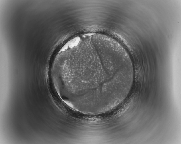 X0000095670443200802051234