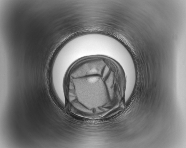 X0000095670444200802051234