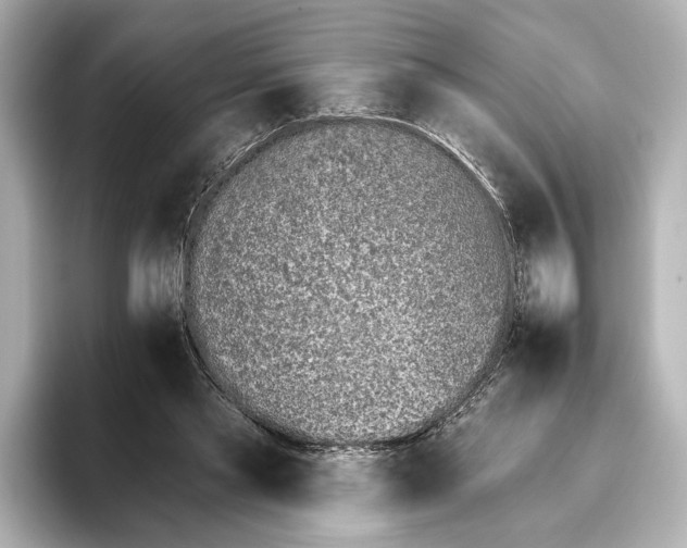 X0000095670445200802051234