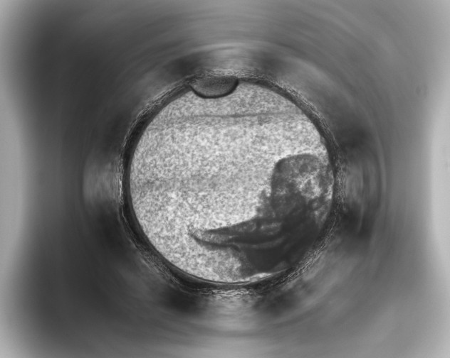 X0000095670446200802051234