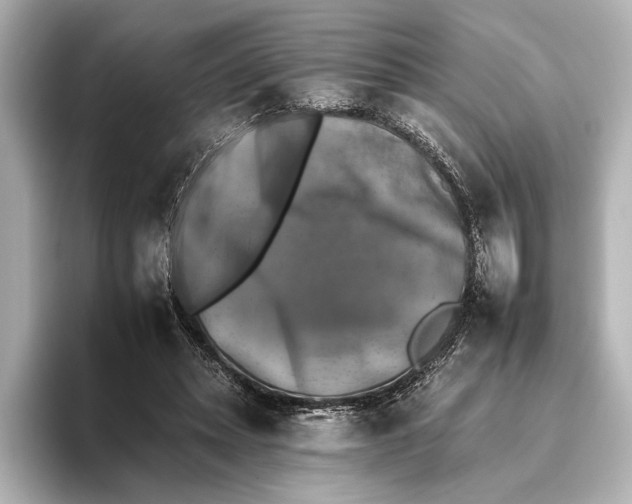 X0000095670447200802051234