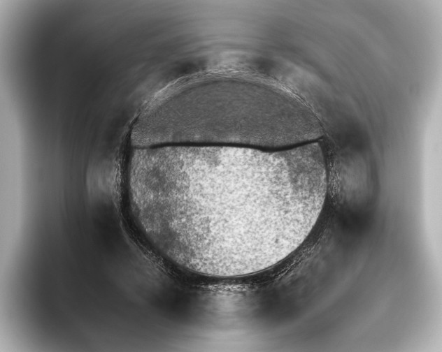 X0000095670448200802051234