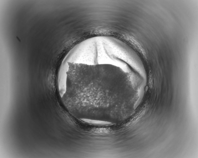 X0000095670449200802051234