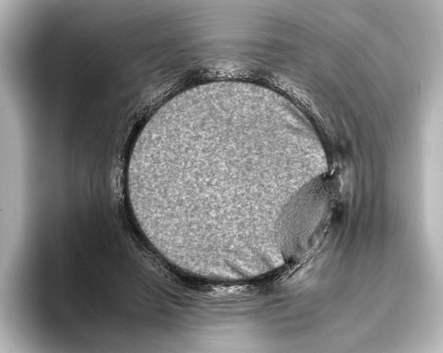 X0000095670450200802051234