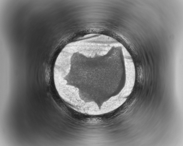 X0000095670451200802051234