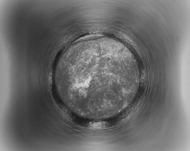 X0000095670452200802051234