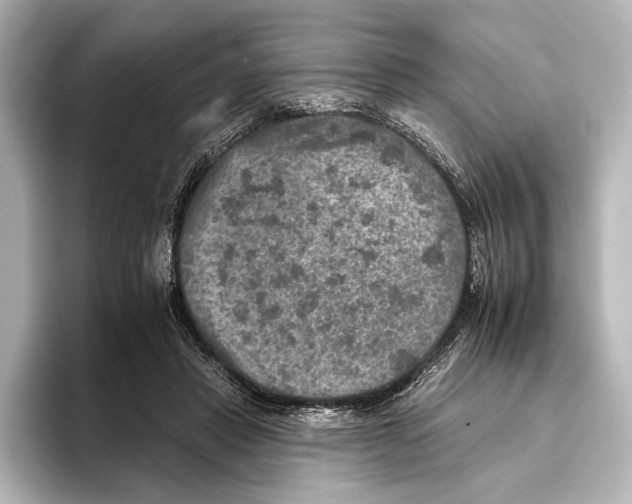 X0000095670453200802051234