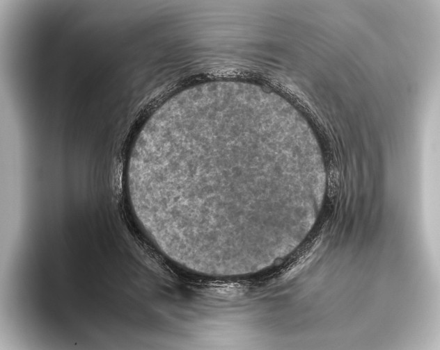 X0000095670454200802051234