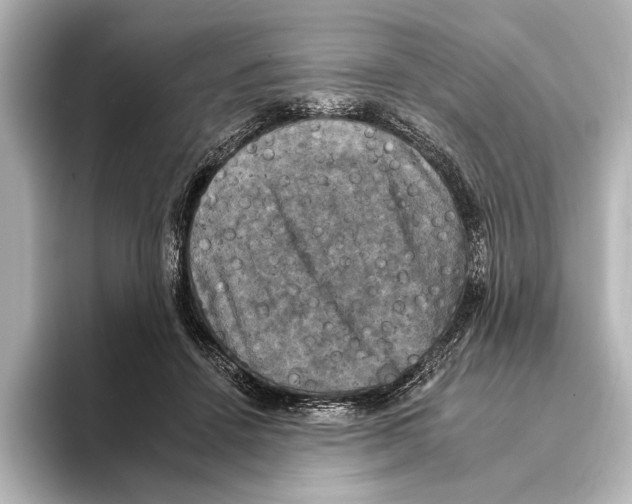 X0000095670456200802051234