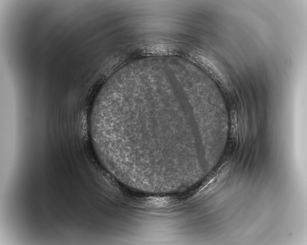 X0000095670457200802051234