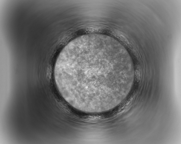 X0000095670458200802051234