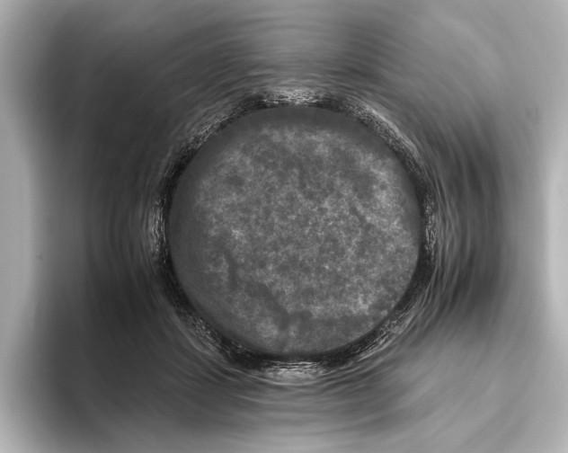 X0000095670459200802051234