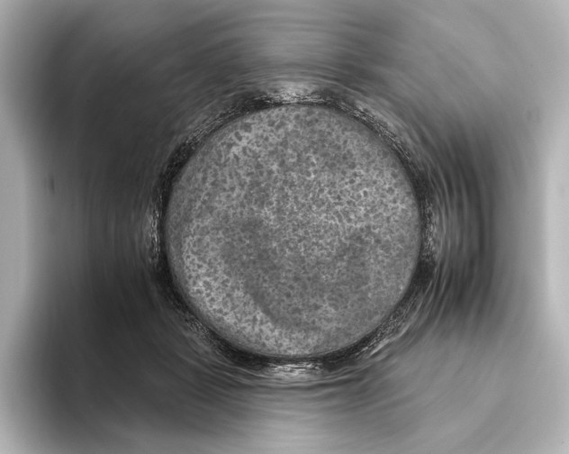 X0000095670461200802051234