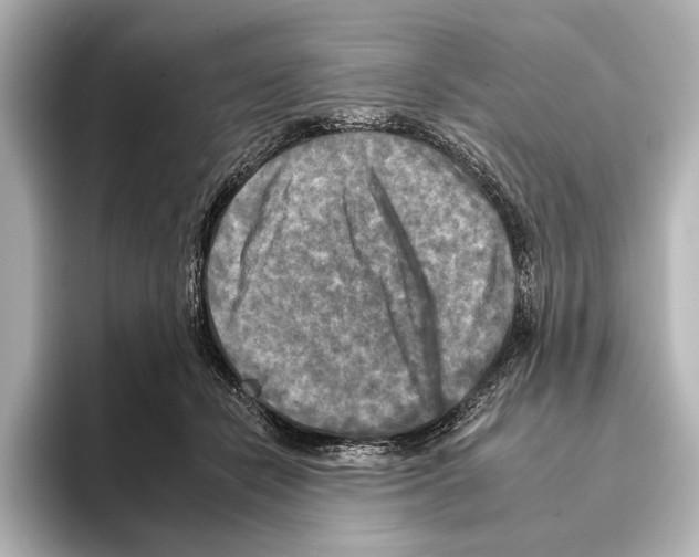 X0000095670462200802051234