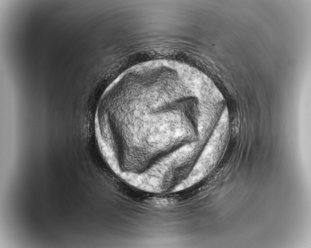 X0000095670464200802051234