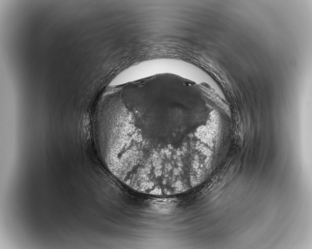 X0000095670465200802051234